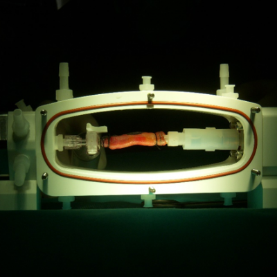 biomat2 biomat2