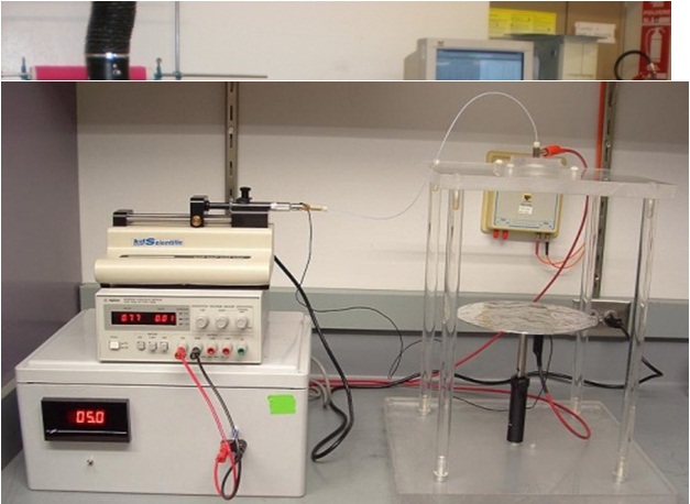 biomateriali_modesti-6